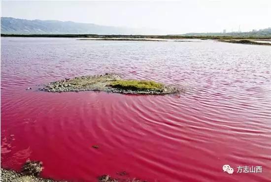 为什么运城盐池有这么多盐,运城盐池含盐量多少