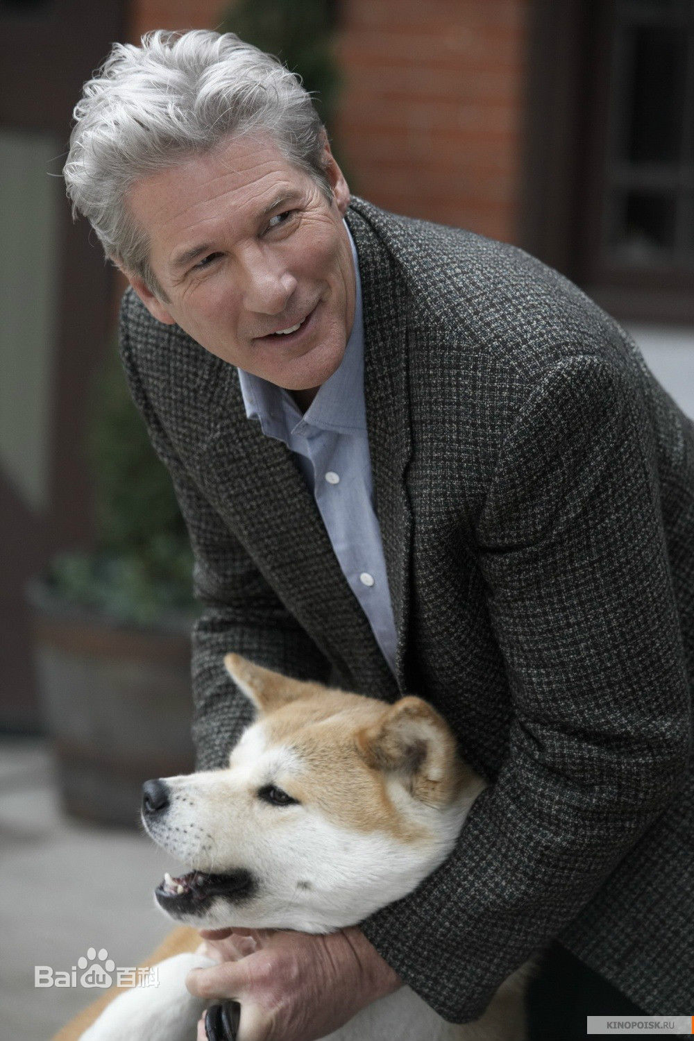 天下一场梦八哥视频,天下一场梦八哥品种