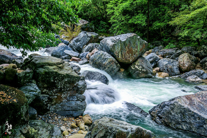 哪儿有原始森林拍照的景区,冬天适合拍照的原始森林