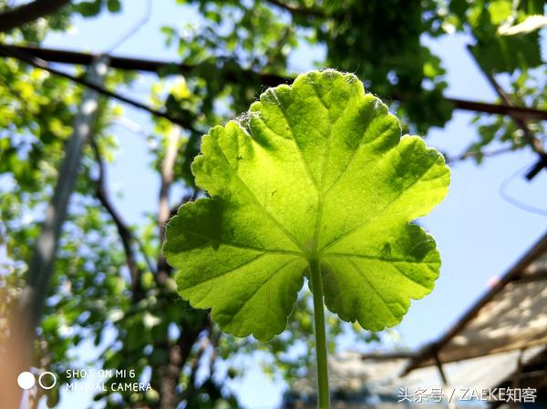 小米6还值得买吗,小米6目前还值得入手么