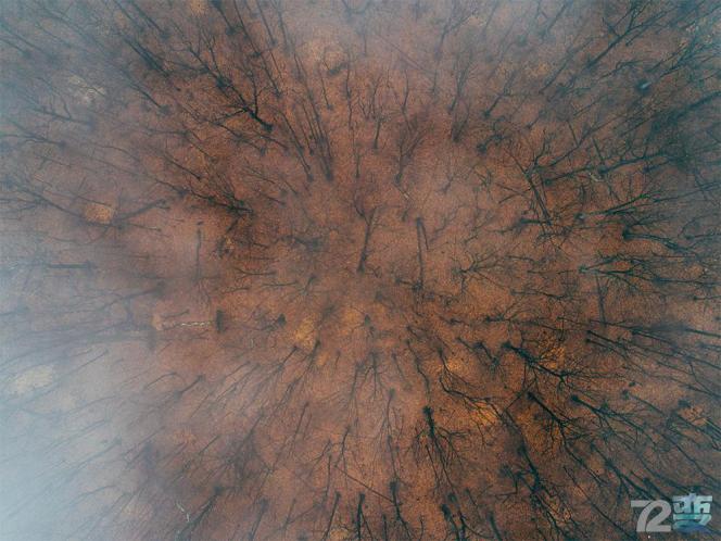 大疆精灵4pro和4pro2.0区别在哪,大疆御air2和大疆精灵4该选哪个