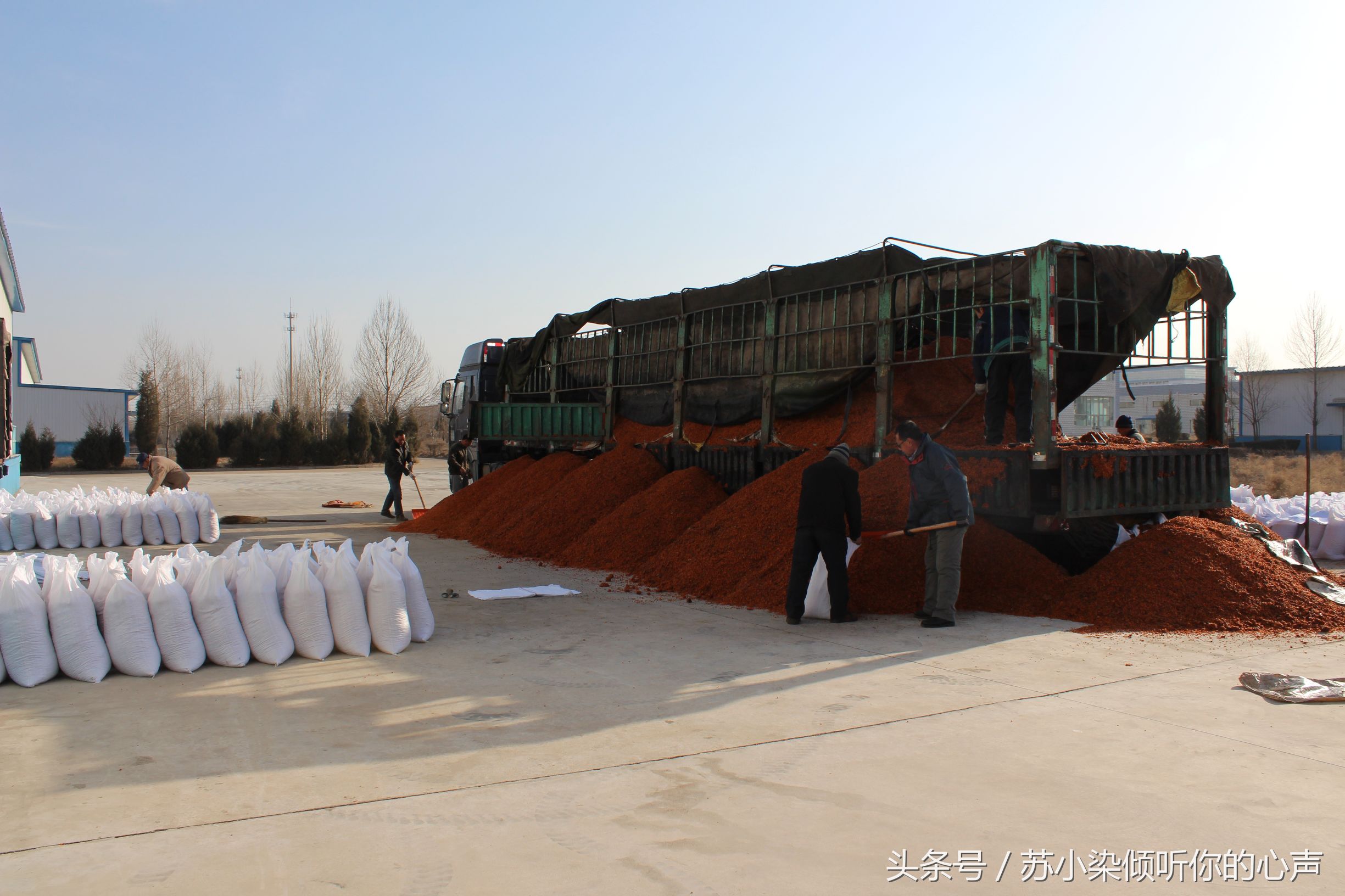 沙棘油，对皮肤还有如此神奇的效果