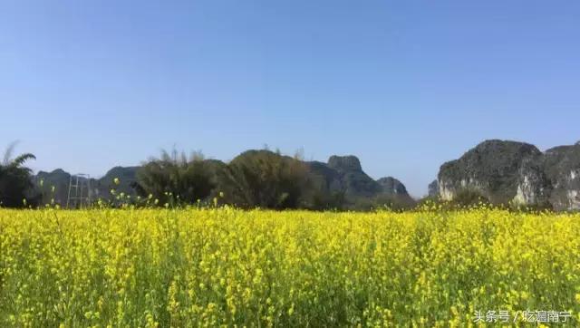 上林旅游有什么好玩的地方,上林好玩地方攻略必去景点