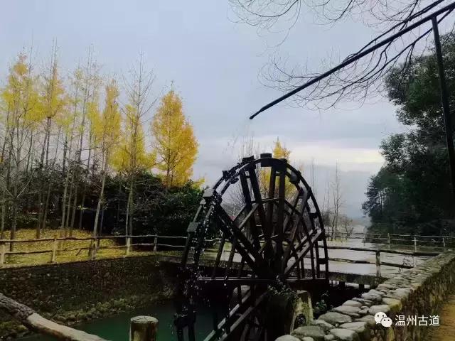 永嘉书院在永嘉什么位置,永嘉学派