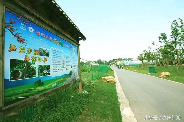 南京世凹村,南京世凹桃源景区