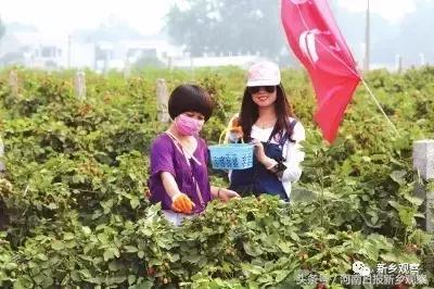 总理牵挂的这件事儿，看看封丘干得咋样