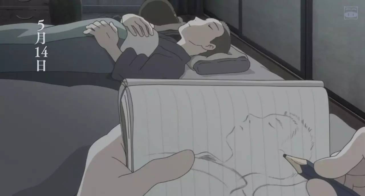 各种超好看日本动画,所有经典日本动画