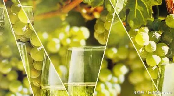 美女讲师梅康妮大师班揭秘多样化的维多利亚（附21个子产区名）