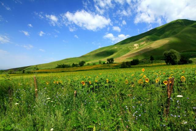 刘诗诗婚礼林依晨,刘诗诗吴奇隆度蜜月