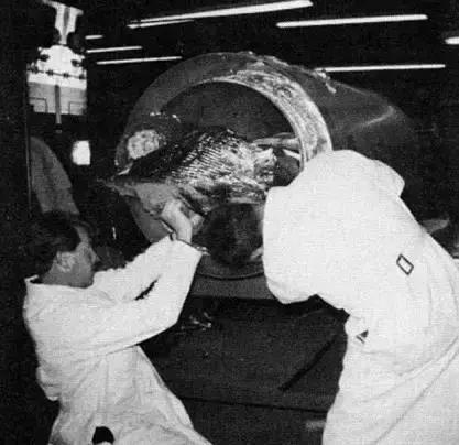 他高中没毕业，却亲手处理了首例“冷冻人”，现在竟还要让其复活