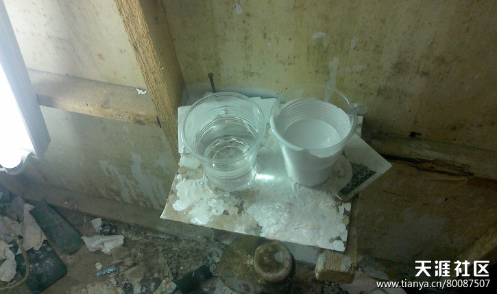 热门话题马桶,有关马桶的话题