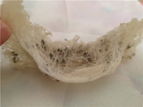 为什么市场上假燕窝这么多,为什么买的燕窝是假的