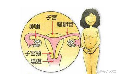 对女人至关重要,雌激素水平低,意味着什么?需要吃雌激素药吗?