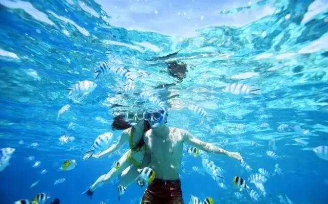 今年倒数第二天就放假了怎么回事,再坚持一天就放假了