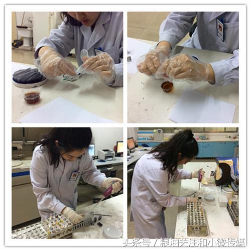 最新白糖进口关税政策,详细介绍白糖进口关税情况详解