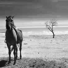 我有一个想法想让你得到我,我有一个大胆的想法你想听吗