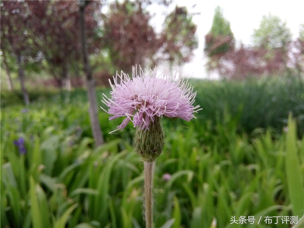 超逼真的裸眼3d壁纸手机,裸眼3d屏幕手机好用吗