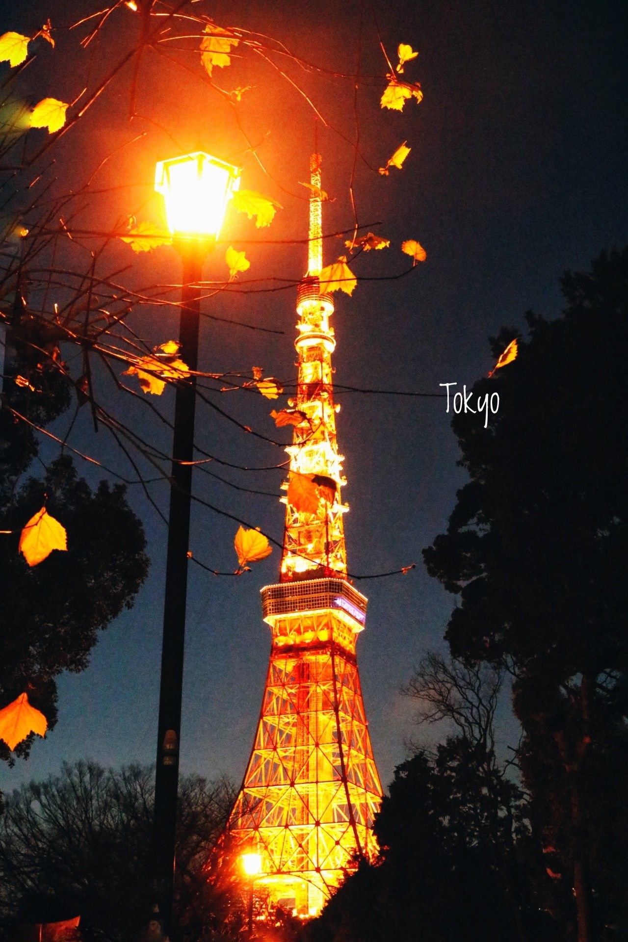 东京Tokyo丨如果你不爱她,请别招惹她