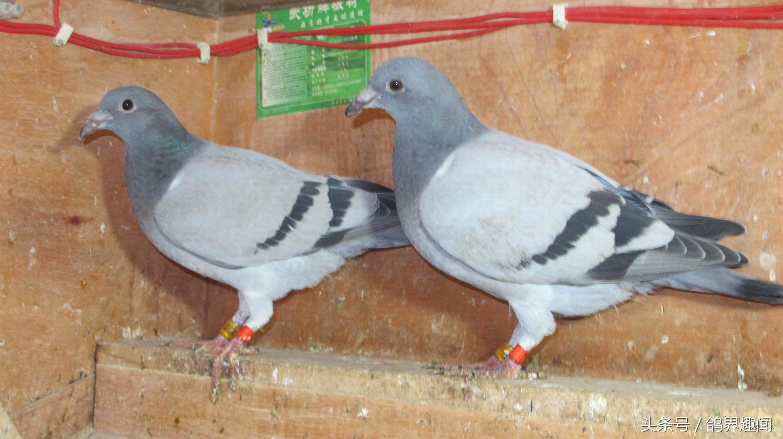 涨知识和方法,涨知识的秘诀