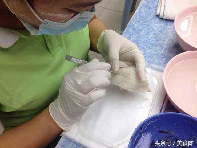 珍贵的燕窝是怎么来的,燕窝虽然珍贵但贵不过健康的自己