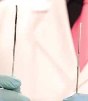 端午节粽子辟谣,粽子叶怎样的才没毒