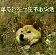 超小,巨小,无与伦比小的表情包,速来查收!