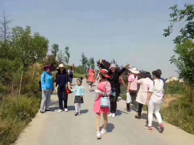 采摘园摘桑葚吃,桑椹采摘园吃桑椹