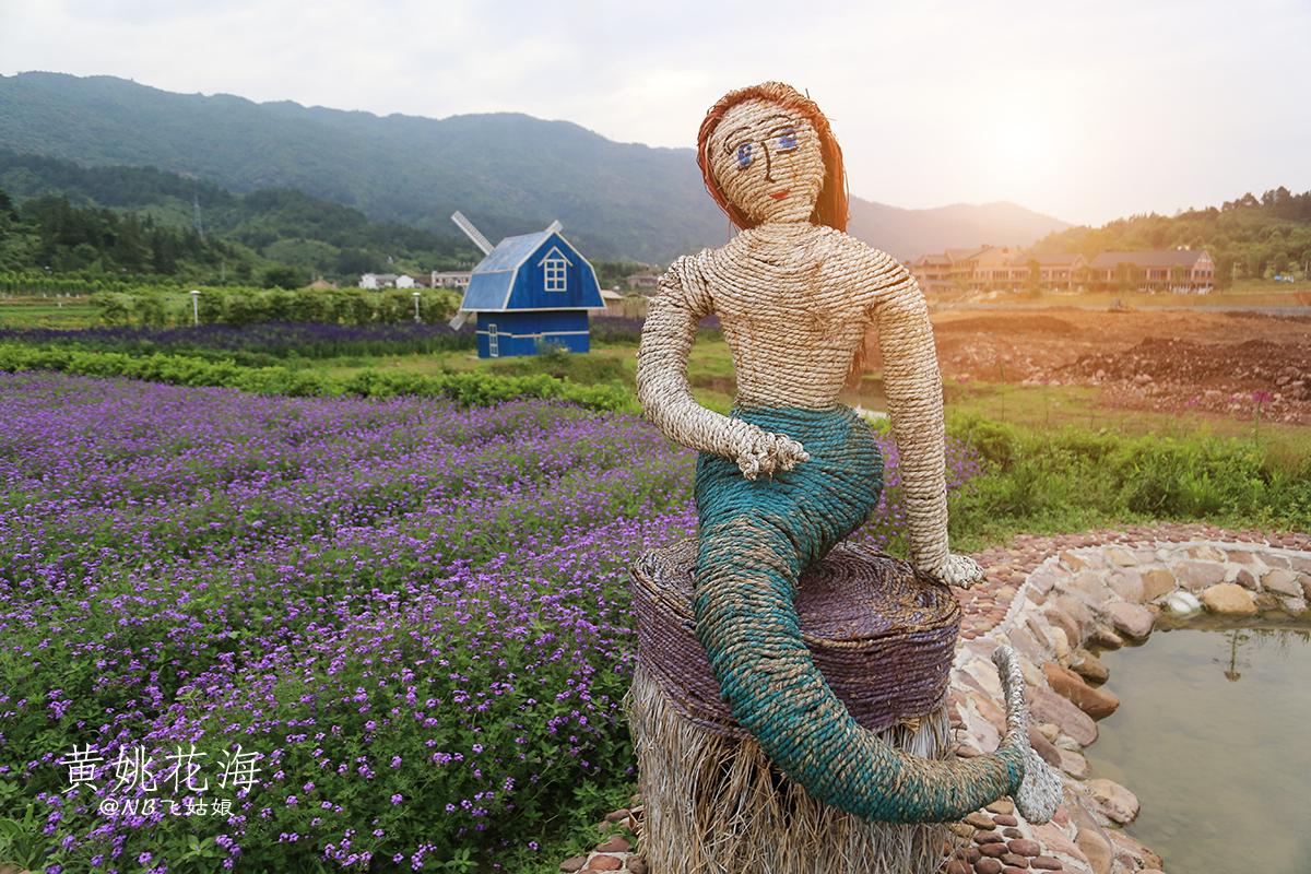 贺州暴雨黄姚花海,黄姚花海旅游攻略路线