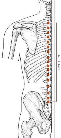 神经根型颈椎病的针灸理疗治疗,针灸治疗颈椎病能不能去根