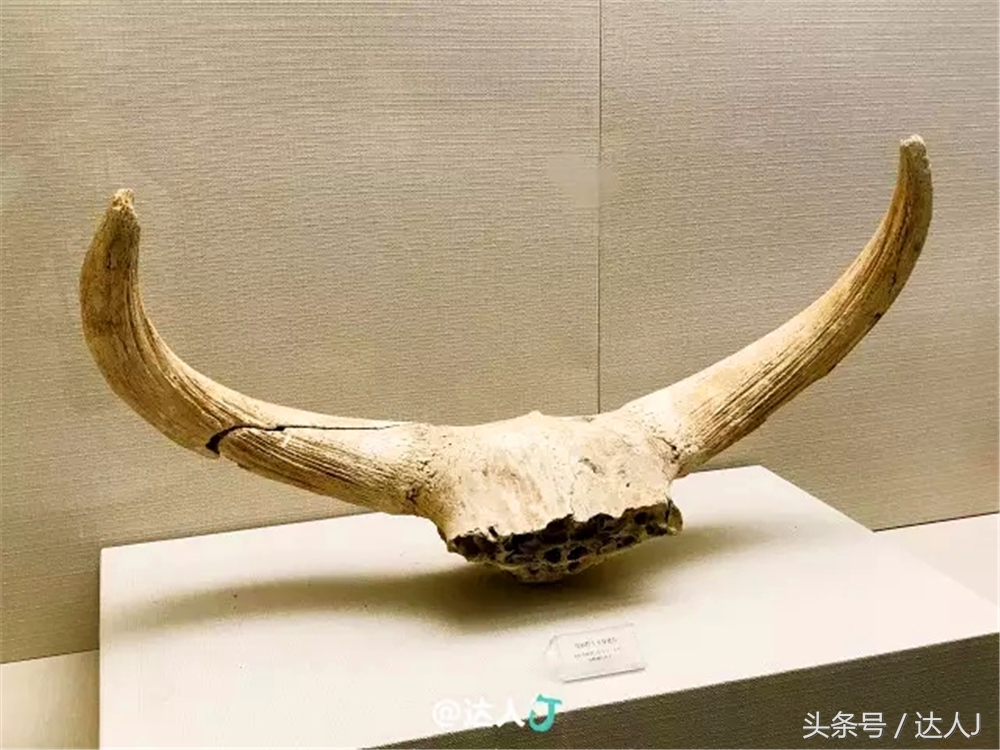 赤峰沙漠集装箱,赤峰草原集装箱