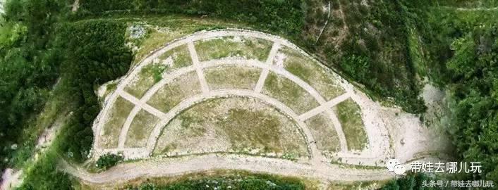 一次薰衣草之旅是如何变成采摘农家乐的?