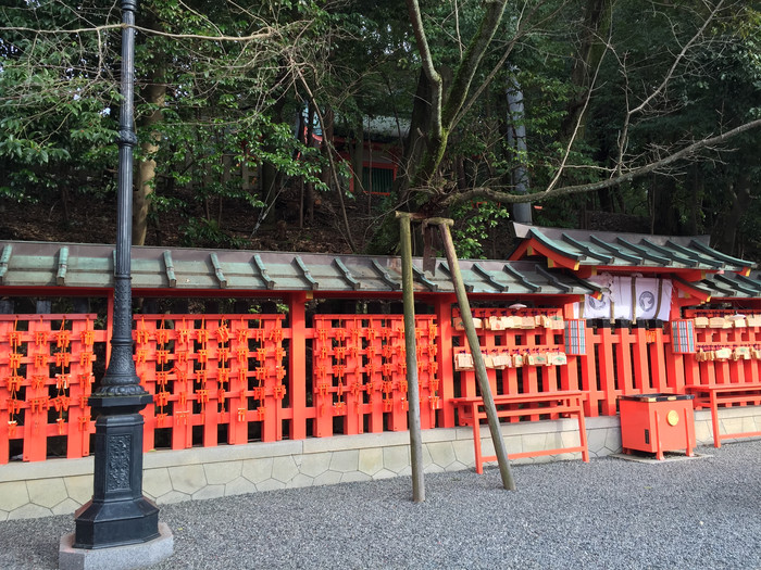 日本的冬天依旧色彩绚烂,冬季日本的冰雪阳光