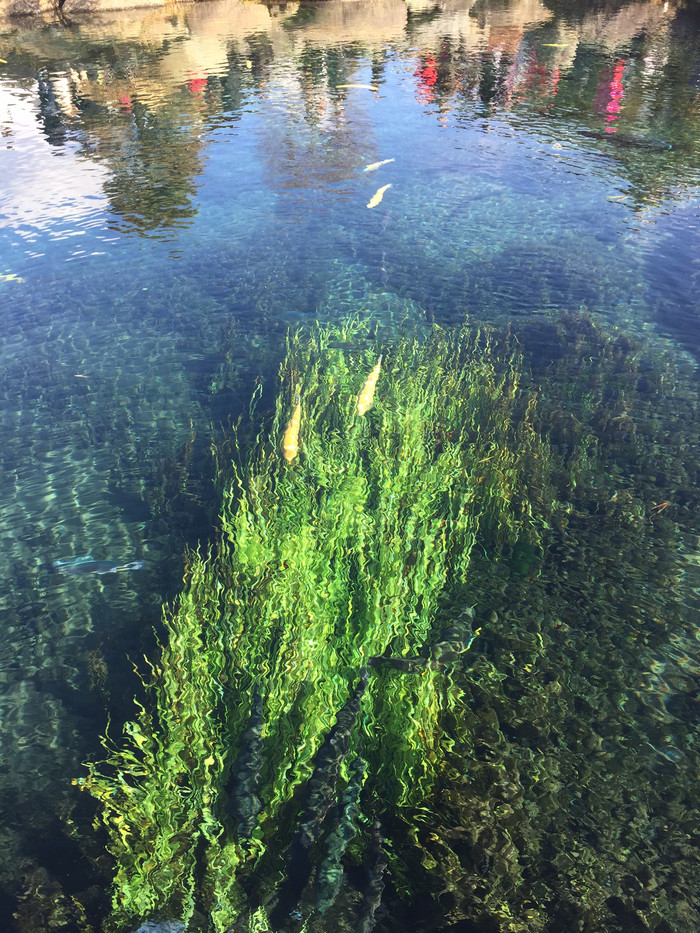 日本的冬日暖阳,日本的冰雪世界