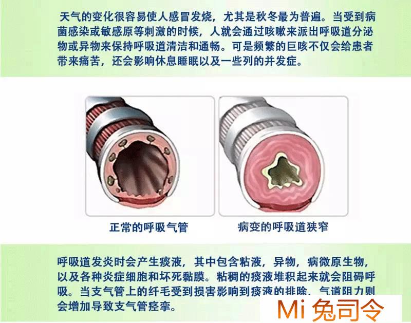 促进儿童长高的澳洲保健品,澳洲宝宝保健品排行榜