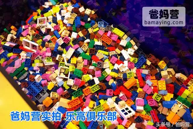 带娃出海邮轮行旅途soeasy,带小孩坐游轮旅行需要带什么