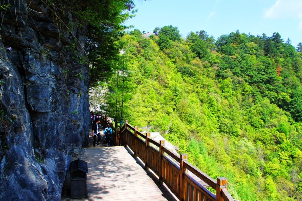 神农架有几个洞,神农架有一个神秘的深谷