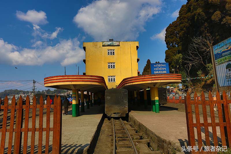 印度大吉岭红茶有几个品牌,印度大吉岭红茶品种