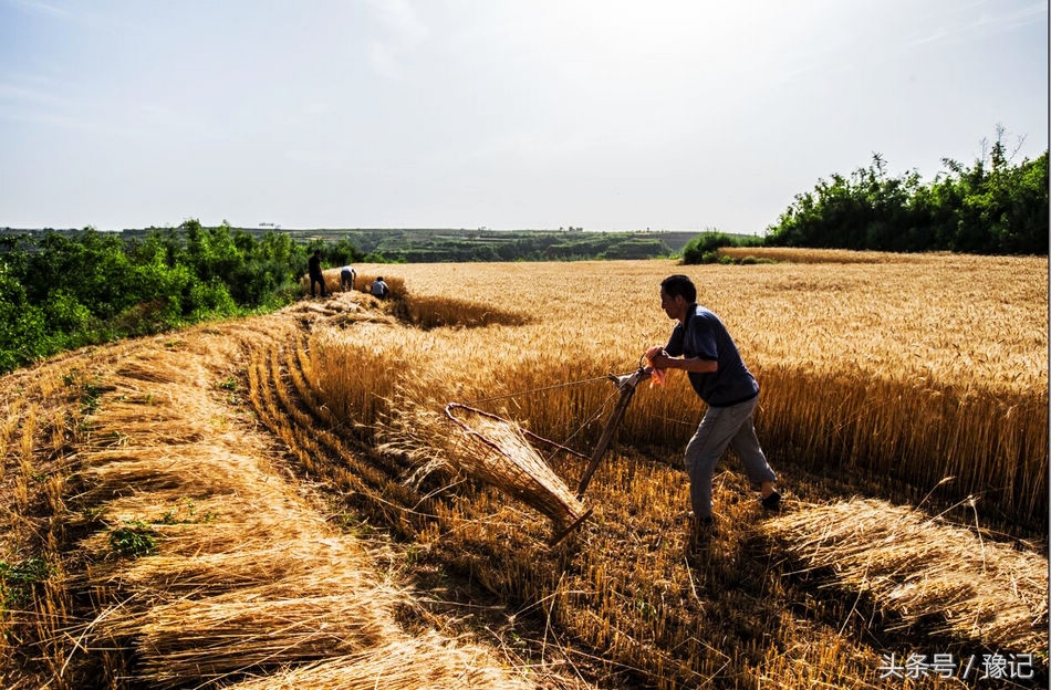 懒癌拯救世界,懒癌发明的神器