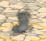 多图：DNF全职业二觉宠物外观一览，回归冒险家可免费领取