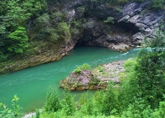 成都周边免费森林自然景点,成都森林避暑好去处