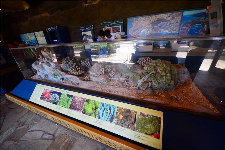 骨灰级探险视频,水上运动场夏威夷maui岛浮潜