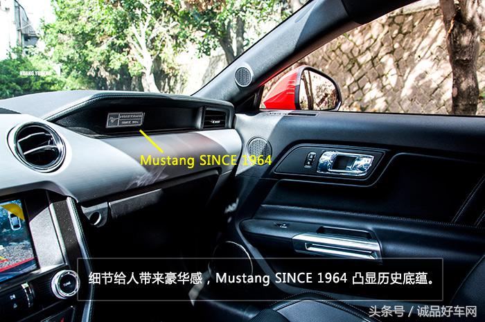 没有奔跑在草原的野马，成了男人心口的朱砂痣