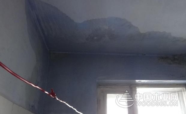 楼房房顶漏水找不到哪地方漏水,楼上厨房漏水导致楼下房顶漏水