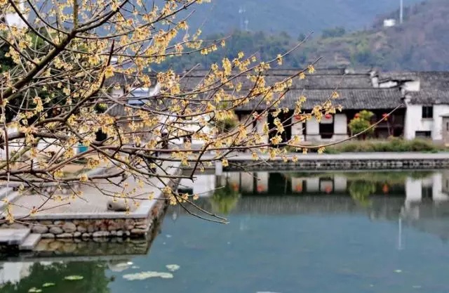 上海周边有哪些古镇,上海周边水乡古镇