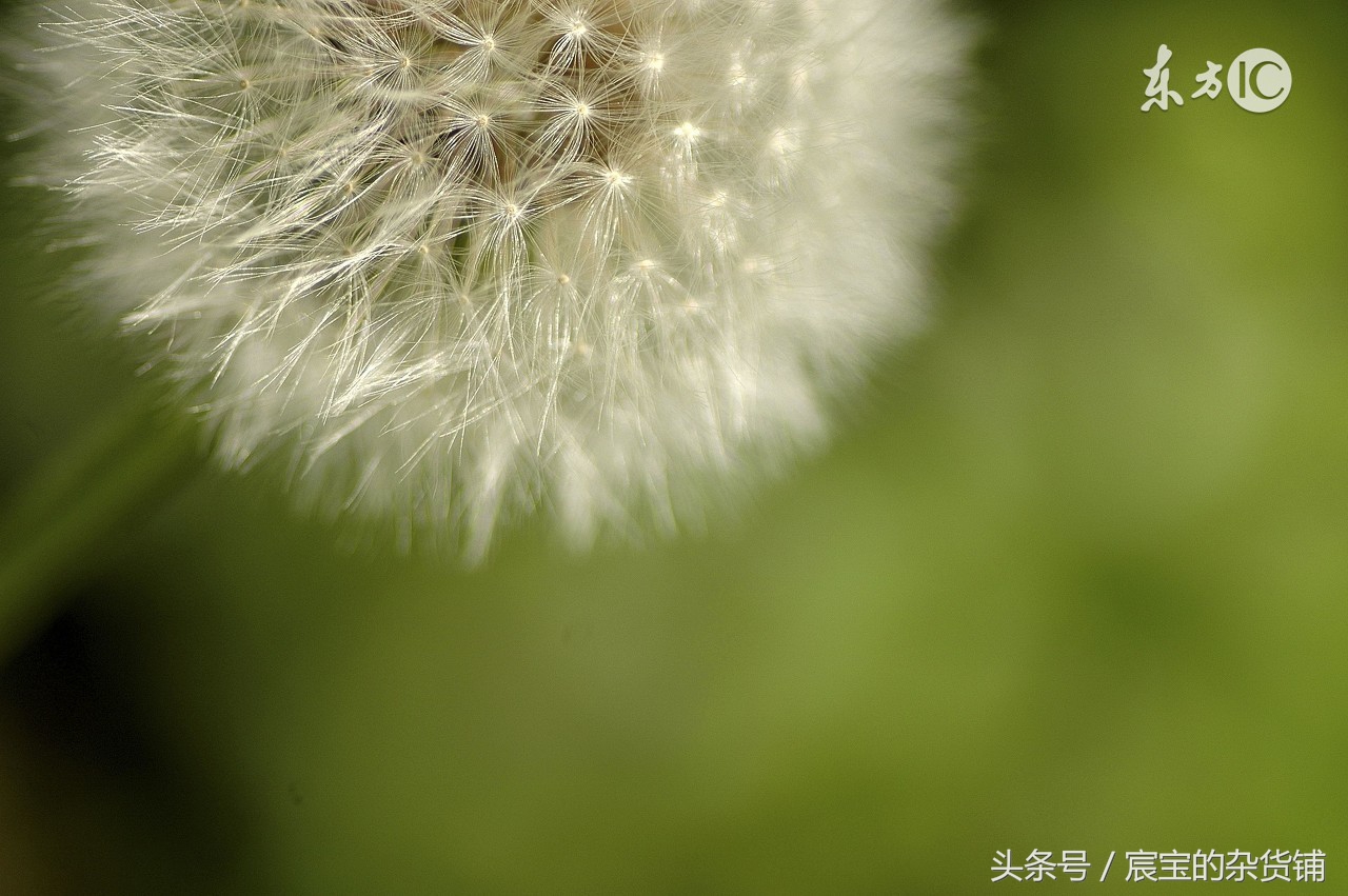 孩子性好奇要怎么引导教育,面对孩子的好奇心理是如何引导