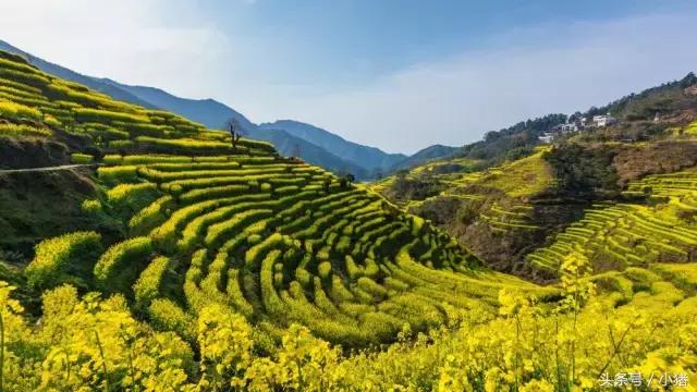 关关谢童打卡篁岭,关关和谢童去婺源是哪一集