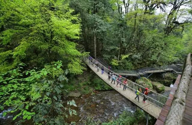 成都周边免费森林自然景点,成都森林避暑好去处