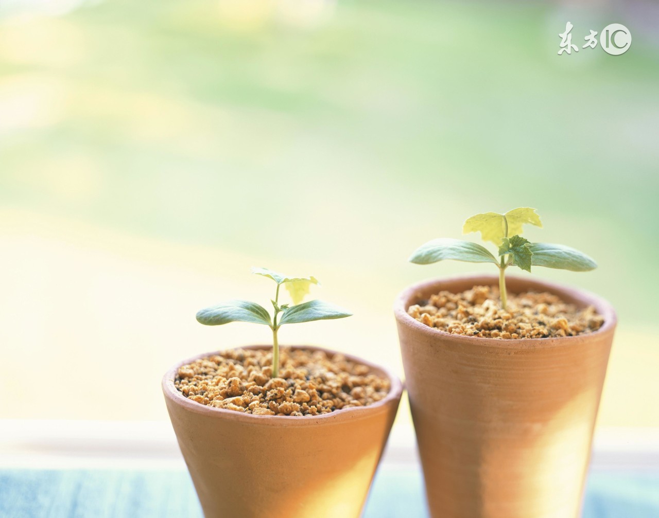 晒黑后最简单迅速的美白方法,晒黑如何快速美白小妙招