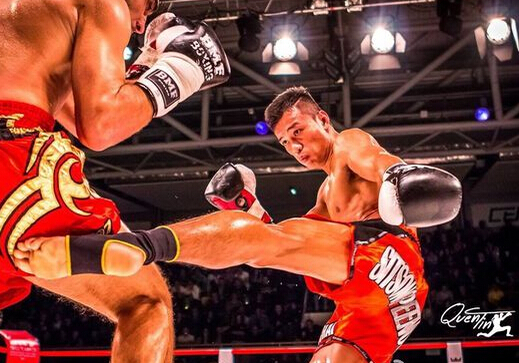 世界拳击排名前十名武僧一龙,世界拳王排名榜一龙排名第几