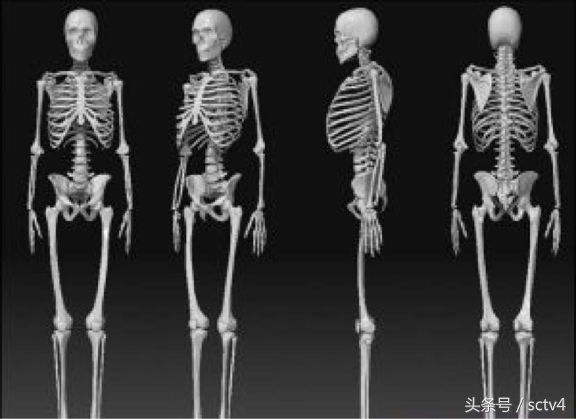 青少年补钙增高产品,儿童增高产品推荐